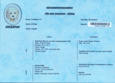 Abstammungsurkunde