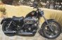 HD Sportster 883 Low