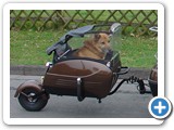 So in etwa sieht das dann Teil aus, wenn mal ein Hund drin sitzt.