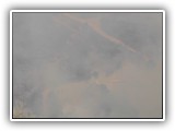 S1110048